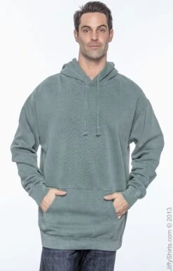 Adult Unisex Hooded Sweatshirt 26 Adult Unisex Hooded Sweatshirt -Jiffyshirts Sales Store 394FEA1BB3EE28