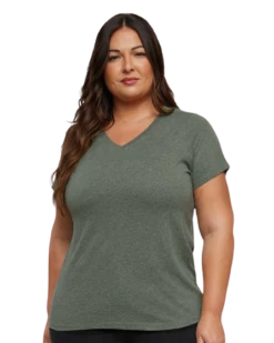 Ladies' Curvy V-Neck Fine Jersey T-Shirt 31 Ladies' Curvy V-Neck Fine Jersey T-Shirt -Jiffyshirts Sales Store 72c8185e73ff39