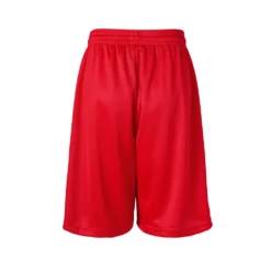 Youth Unisex Nylon Mini Mesh Short 14 Youth Unisex Nylon Mini Mesh Short -Jiffyshirts Sales Store 86733467a59db4