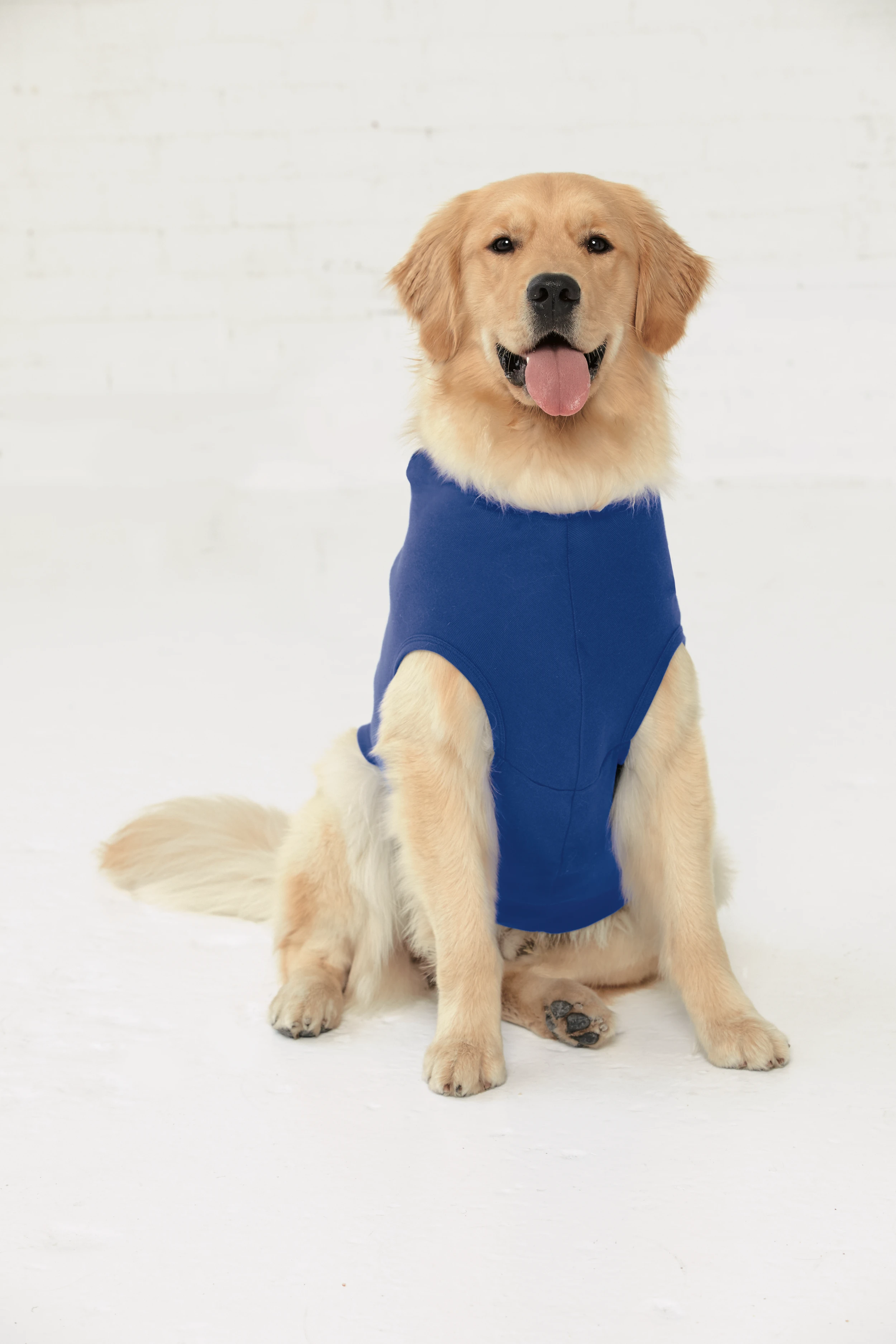 Doggie Baby Rib Gameday Hoodie 8 Doggie Baby Rib Gameday Hoodie - Image 6